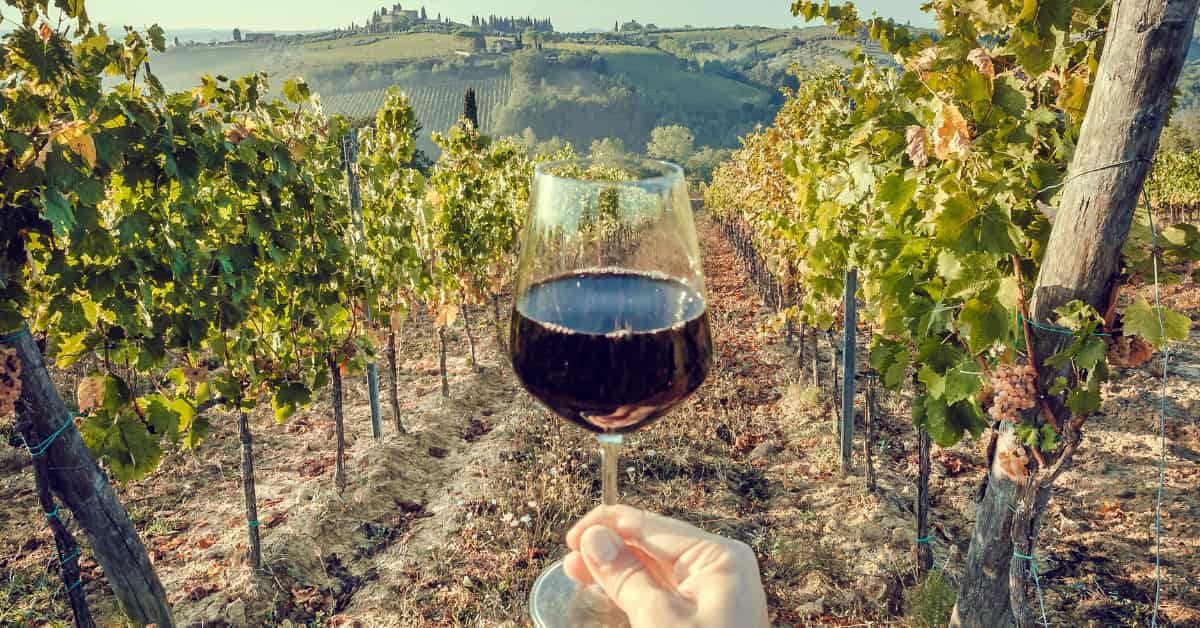 Zaujímavosti o toskánskom víne